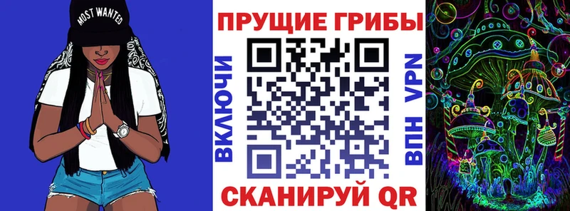 площадка формула  Нижнекамск  Галлюциногенные грибы Magic Shrooms 