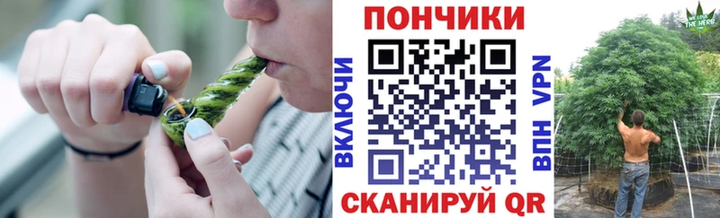 Бошки марихуана Bruce Banner Нижнекамск